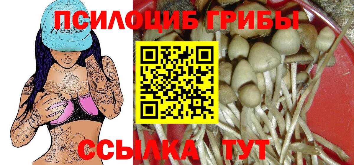 Щёлково  Галлюциногенные грибы Psilocybine cubensis  как найти закладки  Вход с VPN 