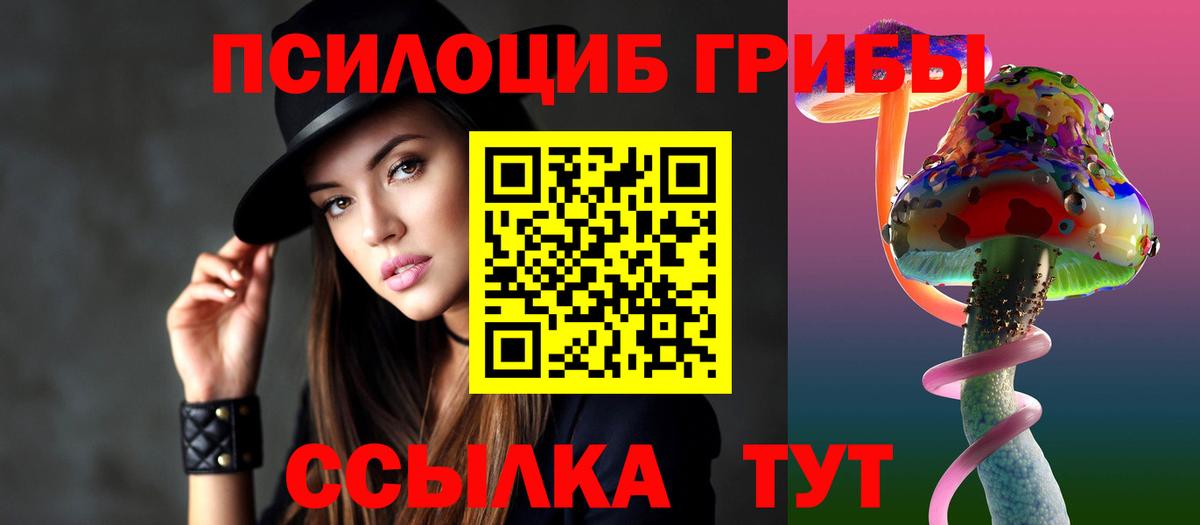 Псилоцибиновые грибы GOLDEN TEACHER Щёлково